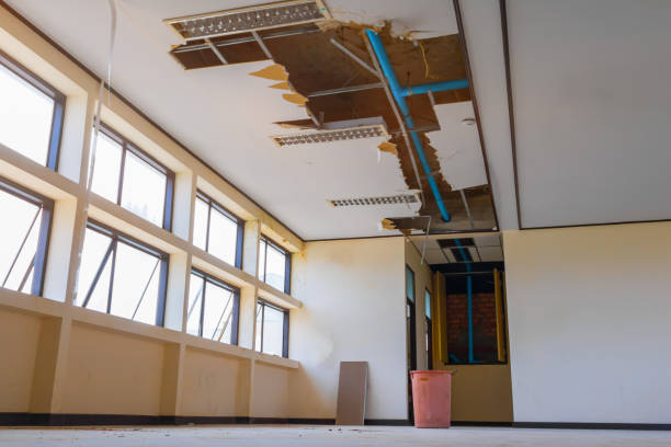 Best Commercial water damage restoration  in Lake Mary, FL