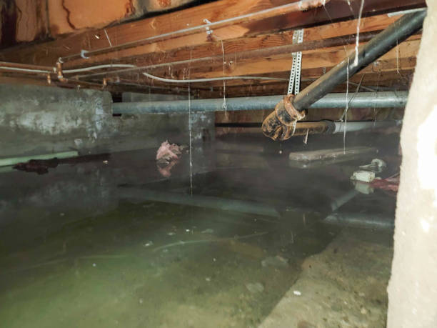 Best Emergency water damage restoration  in Lake Mary, FL