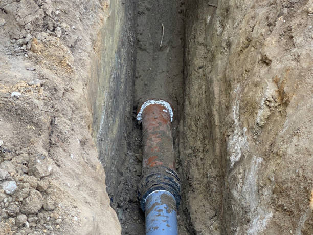 Best Flood restoration services  in Lake Mary, FL