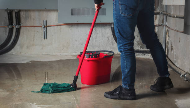 Best 24-hour water damage restoration  in Lake Mary, FL