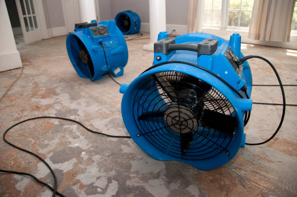 Best Water damage cleanup near me  in Lake Mary, FL