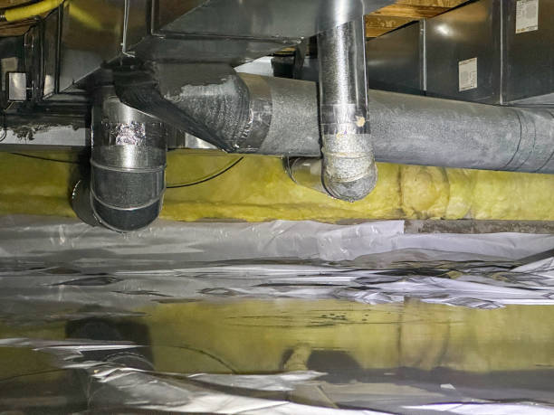 Best Water damage restoration near me  in Lake Mary, FL