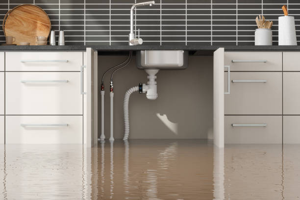 Best Sewage cleanup and water damage restoration  in Lake Mary, FL