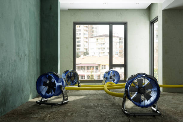 Best Water damage contractors near me  in Lake Mary, FL