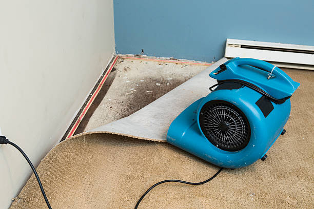 Best Carpet water damage restoration  in Lake Mary, FL